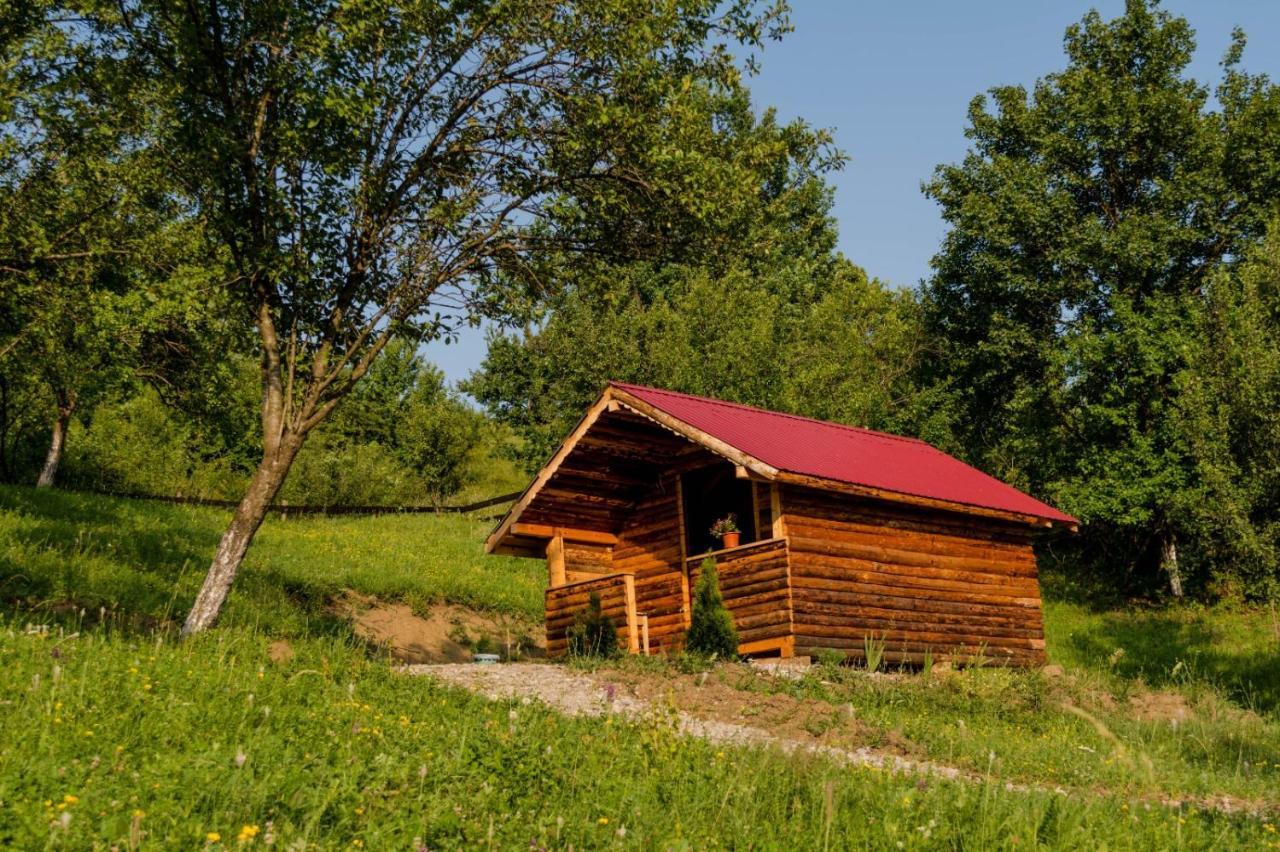 La 3 Stejari, Calimanesti Hotel Salatrucel Exterior photo